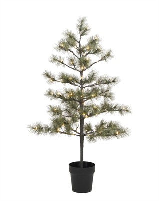 Peuce LED  Juletræ - 125 Cm